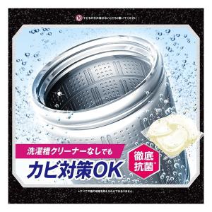 P&G アリエール バイオサイエンス ...の詳細画像2