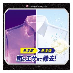 P&G アリエール バイオサイエンス ...の詳細画像3