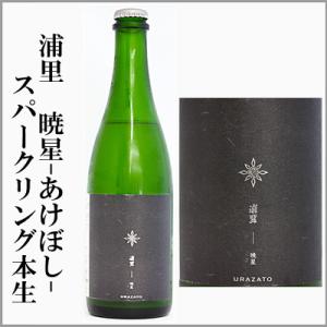 浦里　暁星-あけぼし-スパークリング　本生　滓がらみ　500ml [茨城県つくば市]　【5月〜10月はクール便発送】　