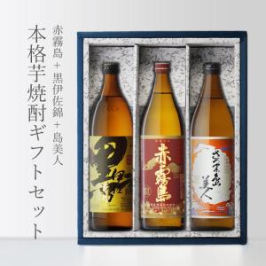 百年の孤独 2本セット 焼酎 贈り物セット麦焼酎 2本セット(黒木本店 百年の孤独 麦 720ml