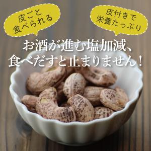 皮付きローストカシューナッツ(塩味) 30g ...の詳細画像2