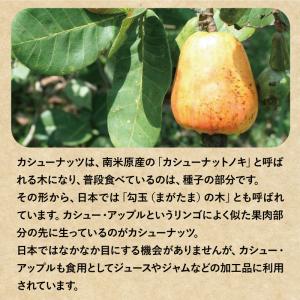 皮付きローストカシューナッツ(塩味) 30g ...の詳細画像4