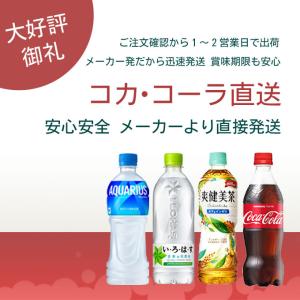 アクエリアス1日分のマルチビタミン パウダー ...の詳細画像1