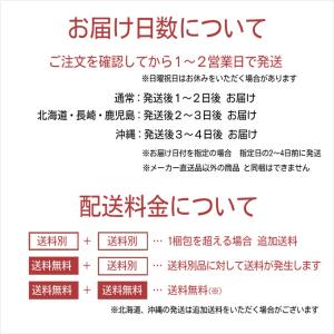 アクエリアス1日分のマルチビタミン パウダー ...の詳細画像3
