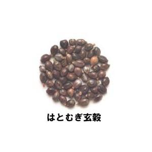 はとむぎ茶(粒) 300gの詳細画像1