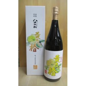 【季節限定】　芋焼酎　黄色い椿　1,800ml　化粧箱付｜sake-yukigura