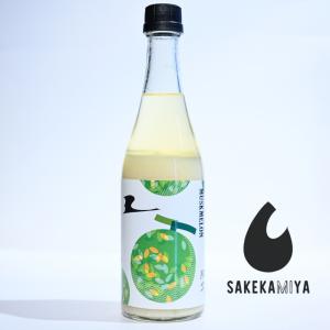 翔空 しょうくう 酔いどれメロン 500ml|禁断の大人のメロンシェイク、果肉感溢れる贅沢なデザート酒|正規特約店|新潟 LAGOON BREWERY【チルド便発送】