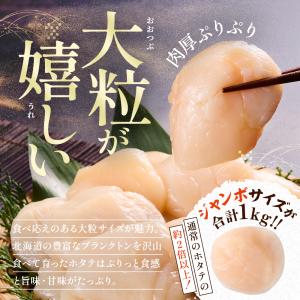 天然 北海道 野付産 特大 ホタテ 貝柱 1....の詳細画像3