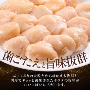 天然 北海道 野付産 特大 ホタテ 貝柱 1....の詳細画像4