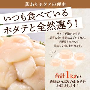 天然 北海道 野付産 特大 ホタテ 貝柱 1....の詳細画像5