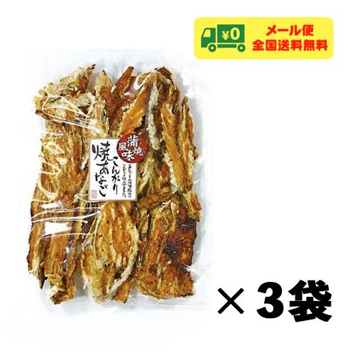 田中海産 こんがり焼あなご 蒲焼風味 ちぎりあなご 75g×3袋 おつまみ 珍味 メール便 送料無料