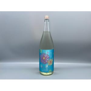 【クール便推奨】日本酒　羽陽 一献 夏酒 純米吟醸　中沖酒造　1800ml