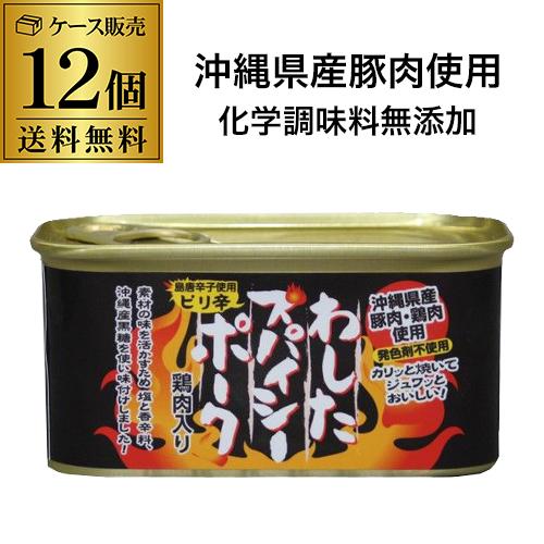 (倉庫入れ替えのため訳あり1000円引 7390円→6390円) 沖縄ホーメル わしたスパイシーポー...