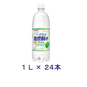 ［飲料］送料無料※２ケースセット　サンガリア　伊賀の天然水　強炭酸水　ライム（１２本＋１２本）１ＬＰＥＴ（２４本）（1000ml 無糖 SANGARIA）
