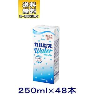 ［飲料］送料無料※２ケースセット　エルビー　カルピスウォーター（２４本＋２４本）２５０ｍｌパック（４...