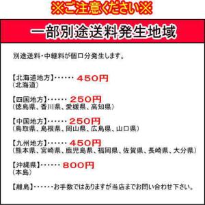 [飲料]送料無料※2ケースセット ポカリスエッ...の詳細画像1