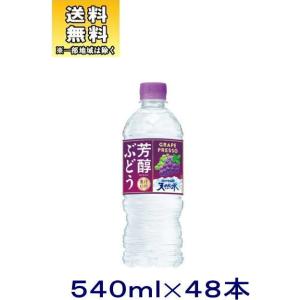 ［飲料］送料無料※２ケースセット　サントリー　◆芳醇ぶどう＆サントリー天然水◆（２４本＋２４本）５４０ｍｌＰＥＴセット（４８本）（540ml 南アルプス）