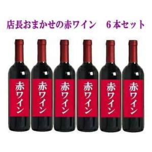 福袋　2024［ワイン］送料無料※　福袋☆店長おまかせの赤ワイン６本セット　（７５０ｍｌ×６本入り）...