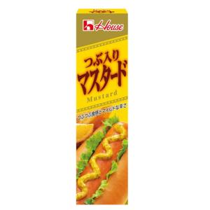 ハウス つぶ入りマスタード 40g 　食品・調味料・菓子・飲料　詰合せ10kgまで同発送