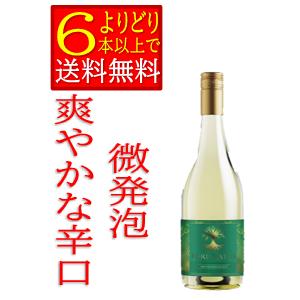 北海道内限定発送】 NIKKA ニッカウヰスキー 余市 シングルカスク