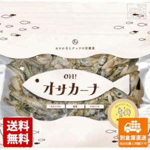九南サービス OH オサカーナ熟成チーズミックス 100g 48セット  同梱不可 別倉庫直送