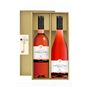 シャンパン カーボン ブリュット 750ML ギフト箱入り CHAMPAGNE CARBON