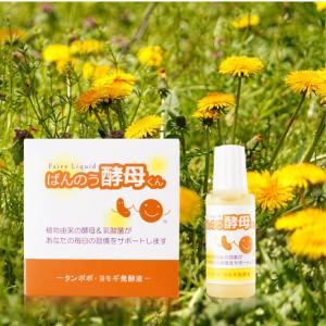 ばんのう酵母くん 目薬 23ml×6本 ポスト...の詳細画像1