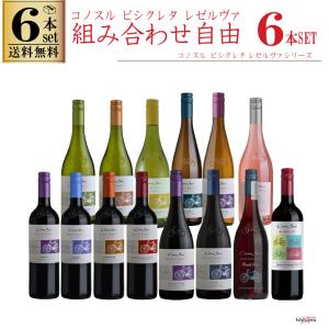 組み合わせ自由 コノスル ビシクレタ レゼルバ  ヴァラエタル 6本 ワインセット チリ 750ml 送料無料 一部地域送料無料対象外｜酒のいしかわ