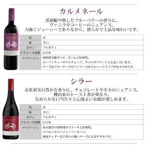 組み合わせ自由 コノスル ビシクレタ レゼルバ...の詳細画像2