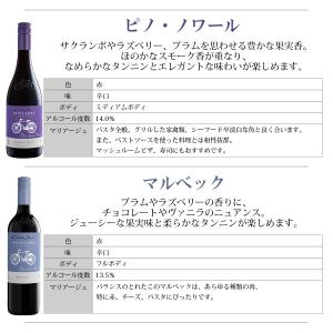 組み合わせ自由 コノスル ビシクレタ レゼルバ...の詳細画像3