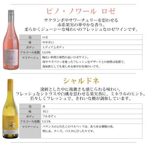 組み合わせ自由 コノスル ビシクレタ レゼルバ...の詳細画像4