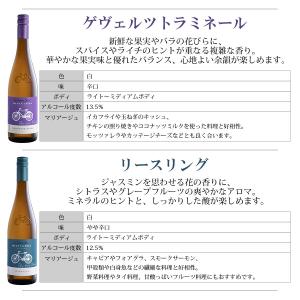 組み合わせ自由 コノスル ビシクレタ レゼルバ...の詳細画像5