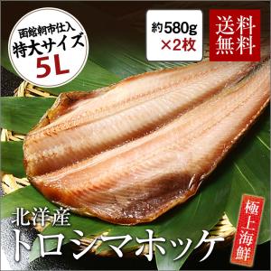 トロシマホッケ 特大 5Lサイズ 約580g×2枚セット  送料無料 縞ほっけ 5L 干物 焼き魚 開き 函館朝市 アラスカ