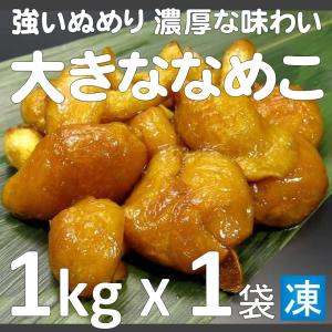 強いぬめりとシャキシャキ食感山形県の大きななめこ オッキーなめこ 1kg X1袋