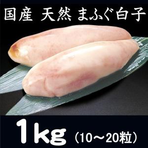 フグの女王 国産 天然 まふぐ白子 真ふぐ白子 真河豚白子