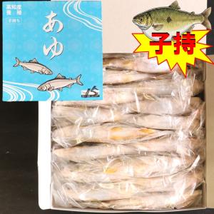 〈限定〉子持ち鮎 1級品 1kg 19尾 X1ボール 高知県産 国産鮎 冷凍鮎 子持鮎 便利な個包装 業務用 仕入れ
