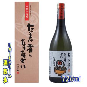 6本セット 亀甲宮焼酎 金宮焼酎（キンミヤ焼酎） 25度 1800ml