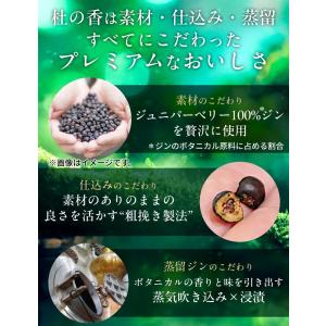 キリン Premium ジンソーダ 杜の香 3...の詳細画像5
