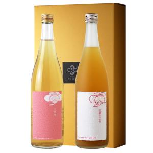 魔王と天使セット（芋焼酎 720ml 2本 魔王 天使の誘惑 プレゼント