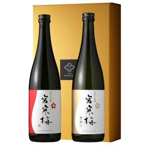 宝山定番セット(芋焼酎 720ml 2本 富乃宝山 吉兆宝山 西酒造 鹿児島県