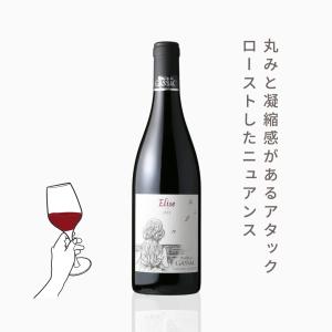 エリーズ （赤ワイン　フランス　ラングドック　ドマ・ガサック　750ml）夏季クール便推奨