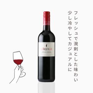 ラルジョル・ルージュ （赤ワイン　フランス　ラングドック　ドメーヌ・ド・ラルジョル　750ml）夏季クール便推奨