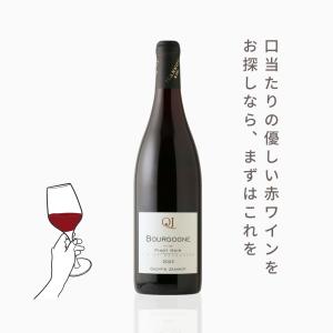 ブルゴーニュ・ルージュ（赤ワイン　フランス　ブルゴーニュ　ドメーヌ・カンタン・ジャノ　750ml）夏季クール便推奨