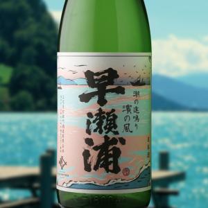 早瀬浦 特別純米酒 濱の風 1800ml(日本酒 三宅彦右衛門酒造 はやせうら)