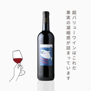 ボン・ペシェ・ルージュ（赤ワイン　フランス　ラングドック　シャトー・エグイユ　750ml）夏季クール便推奨
