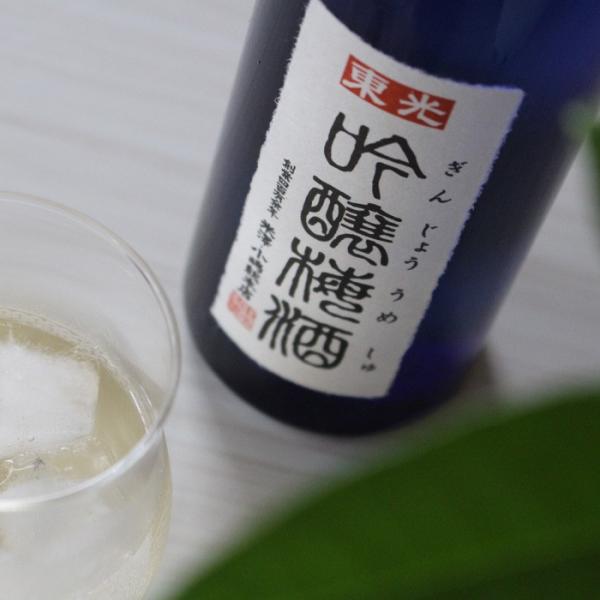 東光 吟醸梅酒 500ml (梅酒 小嶋総本店 山形県)