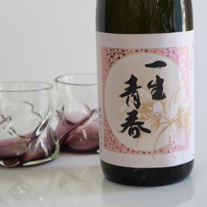 天明 一生青春 吟醸 1800ml (日本酒 曙酒造 てんめい)