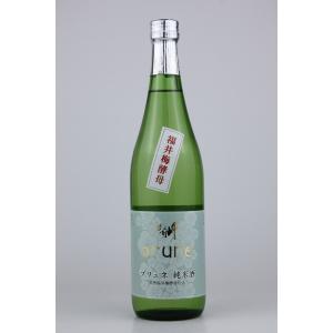 日本酒 越前岬 槽搾り純米 永平寺町産復活米「九頭竜」1800ml : 越前