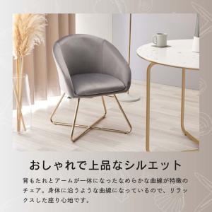 ダイニングチェア おしゃれ かわいい ベロア ...の詳細画像3