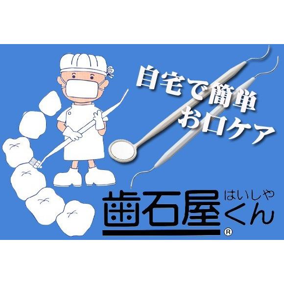 メール便 デンタルケア 歯石屋くん 歯垢対策 ヤニ取り 歯垢除去 歯間 ブラシ 鏡 デンタル ミラー...